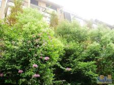 户型方正,采光也很好,楼层合适。洋房小区