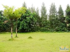 诚心出售 端户跃层洋房 南北朝向户型方正 带屋顶花园