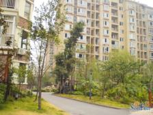 小区环境优雅,该房屋采光好,居家安静,拎包入住