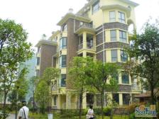 三室户型方正 装修保持好 可以拎包入住 带阳台