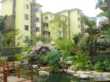 海宇逸景苑 3室2厅 东