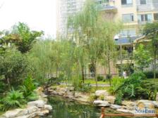 城南核心区,位置好性价比高,户型好,价格可谈