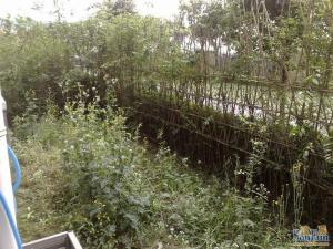 杜甫花园4室2厅东南