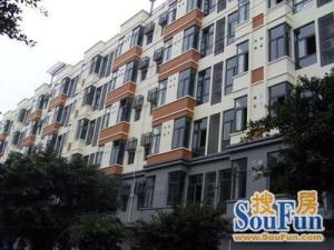 蜜城(双林南支路)1室1厅东北