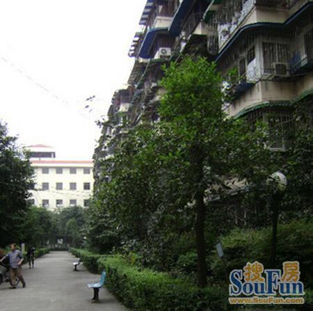 小区相关图