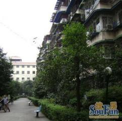 清溪南街5号3室1厅东南西北