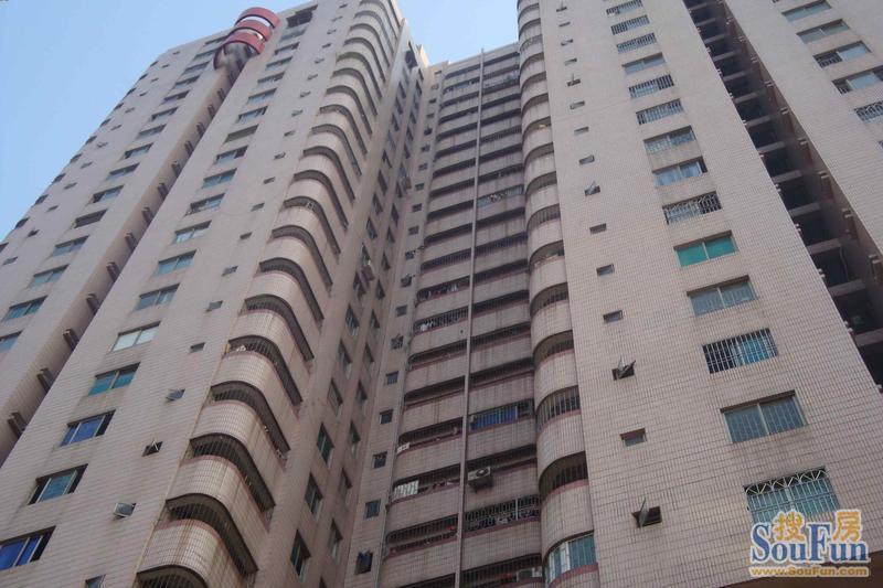 宝龙大厦商铺图片相册,平面图,样板间图,装修效果图,实景图-深圳商铺