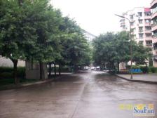 大渡口区美德公园旁正规两房出售。