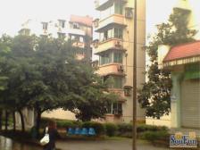 区府 月光小区三房46万