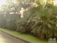 区府 月光小区四房92.7万