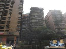 龙泉新苑,大三房业主急售,采光好