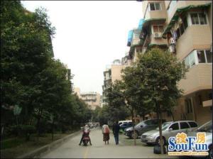 芙蓉苑一期(黄忠)3室2厅西北