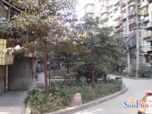 蜀光路14号 3室1厅 南