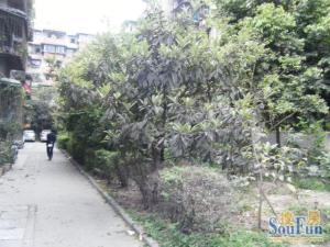 蜀光路14号2室1厅东南西南
