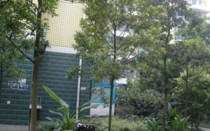 洪景丽苑5室2厅南