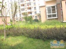 城市溪地 南北通透,采光好 装修好,环镜优美 视野好,诚心出售