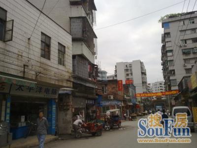 鹅掌坦小区实景图