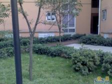 九宫庙 荣涛丽苑三房88万