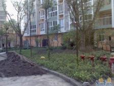 荣涛丽苑 1室1厅 南