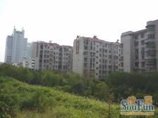 工贸一村(桃园小区) 南北通透,采光好 装修好,环镜优美 视野好,诚心出售