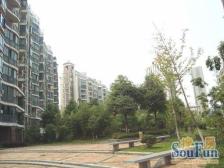 带一个一楼的院子,居家很舒适的,喜欢院子的实地看