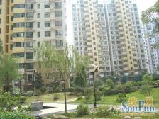 中间楼层,视野采光好,空间利 用 率高,房子保养好