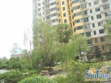 近红谷滩中 心区域 距双子塔秋水广场近