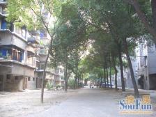 洪都大院八区 南北通透,采光好 近地铁 视野好,诚心出售