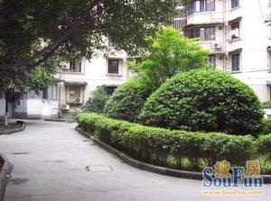 棕南西街7号 3室1厅 东南