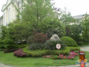 海峡新城三期3室2厅东南