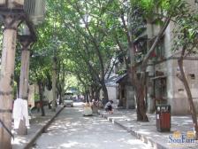 花卉园 花园新村一房27万