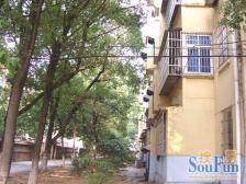 迎宾北大道 南北通透,采光好 视野好,诚心出售