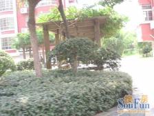 江铃景泰花园 南北通透,采光好 视野好,诚心出售