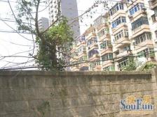 江铃梨园二区 南北通透,采光好 近地铁 中间楼层