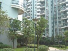 江信国际花园 顶楼不吵 南北双阳台