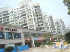 江信国际花园 南北通透,采光好 装修好,环镜优美 视野好,诚心出售