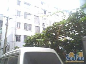金盘路24号江信小区南北通透,采光好视野好,诚心出售