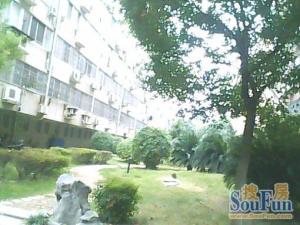 金盘路24号江信小区南北通透,采光好装修好,环镜优美视野好,诚心出售