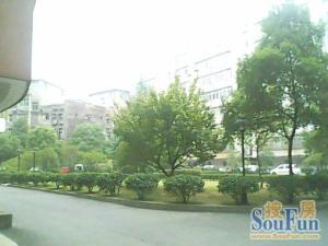 金盘路24号江信小区南北通透,采光好视野好,诚心出售