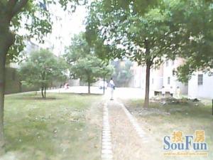 江信住宅小区,省级单位宿舍,环境好,停车方便