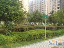 房型结构好,房子光照好很好,交通便利,出门就是公园