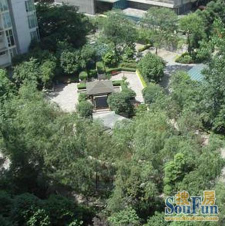 小区相关图