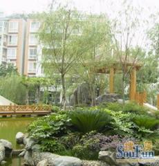 丽都新城一期 3室2厅 南