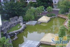 丽都新城一期3室2厅南