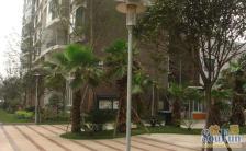 世纪光华 2室1厅 东南