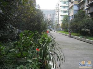 长顺苑 3室2厅 南