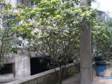 青羊东二路41号 2室1厅 东南