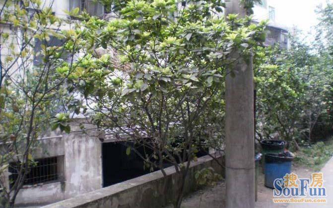 青羊小区(成都)实景图
