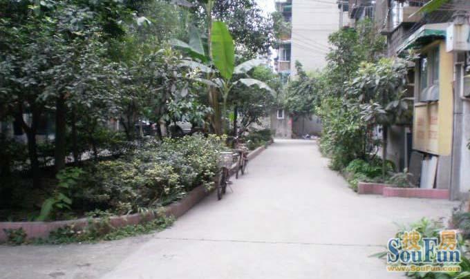 青羊小区(成都)实景图