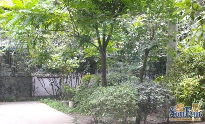 青羊小区(成都)实景图